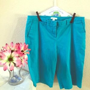 New York & Co Shorts Turquise